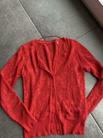Rode gilet c&a small, Vêtements | Femmes, Blouses & Tuniques, Comme neuf, C&A, Taille 36 (S), Rouge