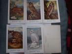 Postkaart.Carte Postale.Reeks 7.Vogels.Oiseaux, Collections, Non affranchie, Enlèvement ou Envoi
