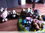 20 knuffelberen (1 euro / stuk), Ophalen, Gebruikt