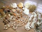 Schitterende collectie. 57 schelpen koraal kettingen Excelle, Verzamelen, Zo goed als nieuw, Ophalen