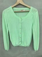 Muntgroen gilet Aymara maat XS