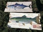 Set houten design borden met vissen- vis-vissen, Huis en Inrichting, Woonaccessoires | Overige, Nieuw, Ophalen of Verzenden