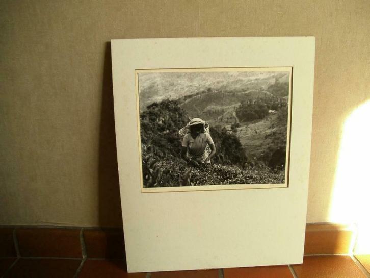 Reeks 5 zwart-wit foto's P. Van Damme (S054), Antiek en Kunst, Kunst | Tekeningen en Fotografie, Ophalen of Verzenden