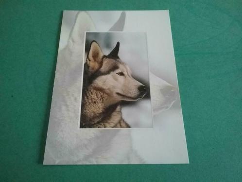 2 Postkaarten van mooie honden, Verzamelen, Postkaarten | Dieren, Ophalen of Verzenden