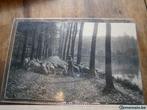 Forêt de Soignes - Rouge-Cloître 1913 NELS, Envoi