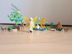 Playmobil - Fée de la musique avec animaux de la forêt, Comme neuf, Enlèvement, Playmobil en vrac