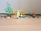 Playmobil - Fée de la musique avec animaux de la forêt, Ophalen, Zo goed als nieuw, Los Playmobil