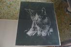 Kader met etstekening - poes, Minder dan 50 cm, Gebruikt, Tekening, Ophalen of Verzenden
