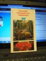 courante cactussen en vetplanten, Comme neuf, Enlèvement ou Envoi, Fleurs, Plantes et Arbres