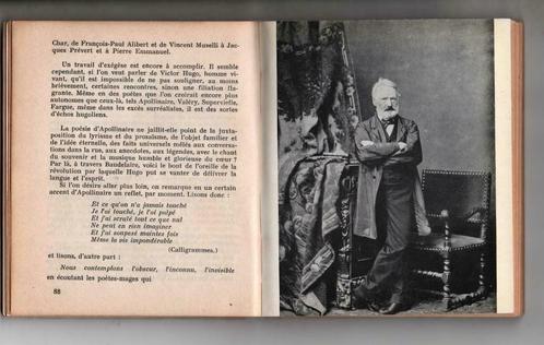 Victor Hugo, Poète d'augourd'hui, 1952., Livres, Art & Culture | Arts plastiques, Utilisé, Peinture et dessin, Enlèvement ou Envoi