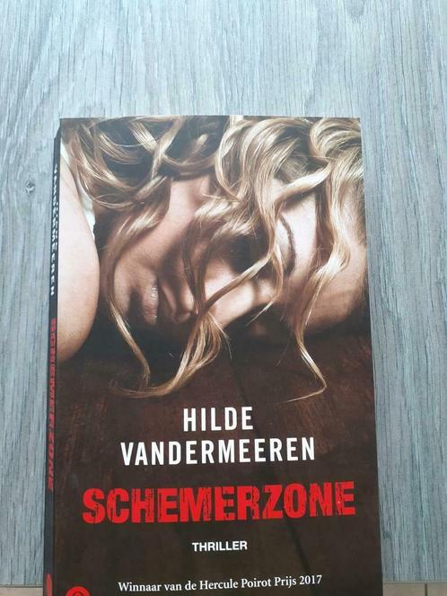 Hilde Vandermeeren, Schemerzone, Hercule Poirotprijs 2017, Boeken, Thrillers, Gelezen, Ophalen