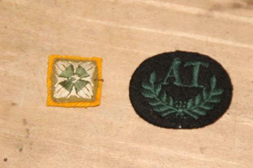 GB WW2 set van 2 badges "Royal Irish Regiments", Verzamelen, Militaria | Tweede Wereldoorlog, Landmacht, Embleem of Badge, Verzenden