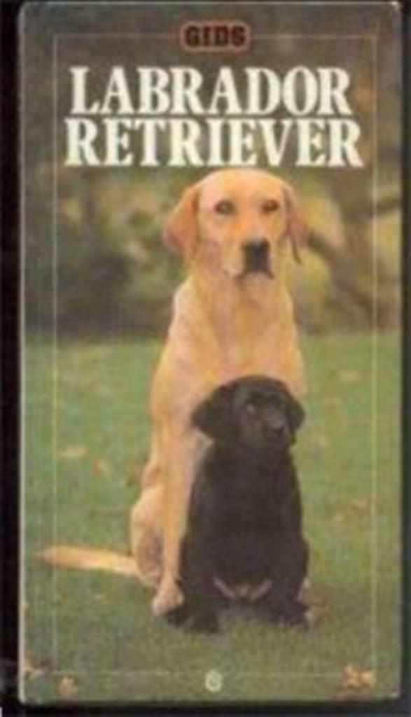 Labrador Retriever, Marjorie Satterthwaite, Enlèvement ou Envoi, Utilisé, Chiens
