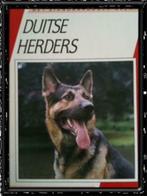 Duitse Herders, Ruud Haak, Chiens, Utilisé, Enlèvement ou Envoi