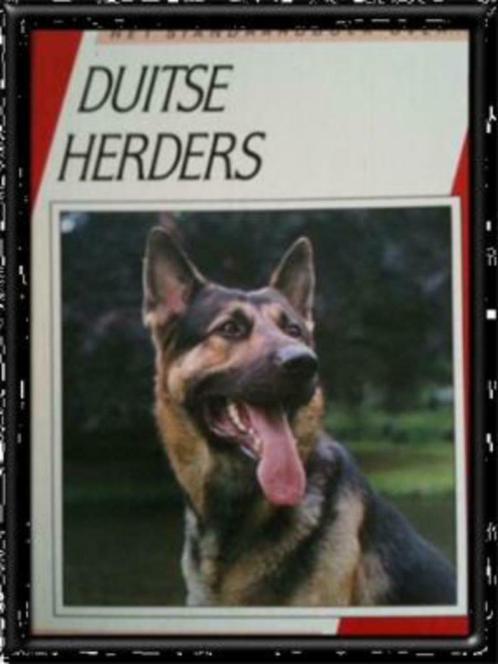 Duitse Herders, Ruud Haak, Livres, Animaux & Animaux domestiques, Utilisé, Chiens, Enlèvement ou Envoi