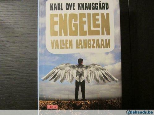 Engelen vallen langzaam  ( Karl Ove Knausgard ), Livres, Langue | Anglais, Utilisé, Enlèvement ou Envoi