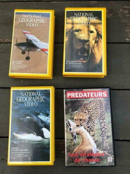 4 K7 vidéo National Geographic video et Prédateurs Time Life, CD & DVD, VHS | Documentaire, TV & Musique, Documentaire, Tous les âges