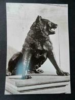 Aachen - Dom - Wölfin, Enlèvement ou Envoi, Non affranchie, Allemagne