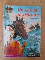 Een paard in Ierland - Pierre Bottero, Ophalen of Verzenden, Gelezen, Pierre Bottero, Fictie