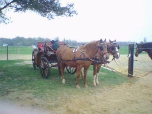 Antieke koets, Dieren en Toebehoren, Rijtuigen en Koetsen, Gebruikt, Overige typen, Paard of Pony, Gesloten