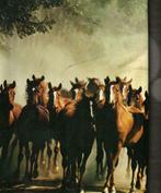 Onze paarden Artis Historia, Boeken, Ophalen of Verzenden, Zo goed als nieuw, Paarden of Pony's