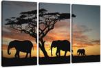 Canvas schilderij 3 luik Afrika Olifant 160 x 90 cm, Verzenden