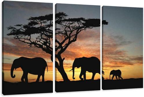 Canvas schilderij 3 luik Afrika Olifant 160 x 90 cm, Antiquités & Art, Art | Peinture | Moderne, Envoi