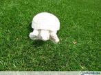 Schildpad beton, Tuin en Terras, Ophalen, Gebruikt, Beton