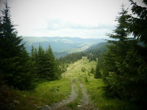 Originele fotokaarten 'Weg door bergen', Hobby en Vrije tijd, Feestartikelen, Nieuw, Feestartikel, Verzenden