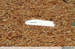 Houtsnippers, woodchips natuurkleur., Tuin en Terras, Ophalen, Boomschors