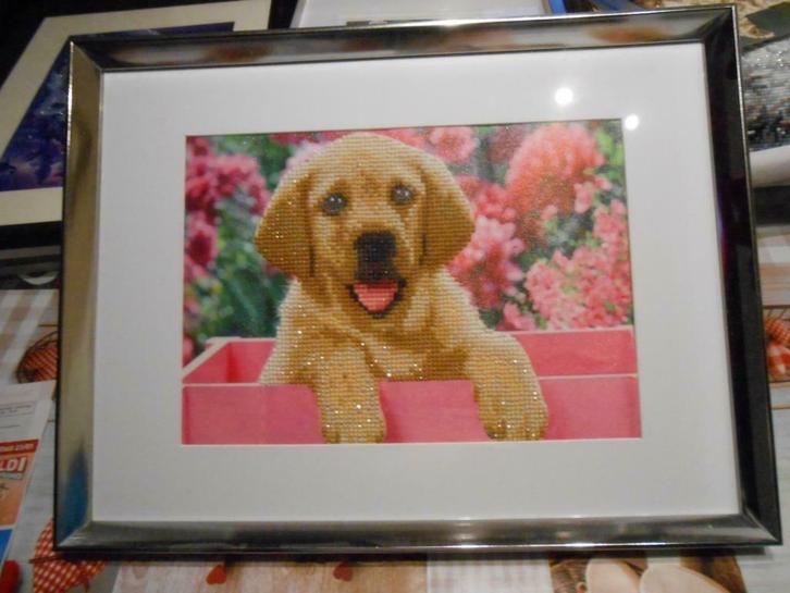 Diamond painting ingekaderd., Hobby en Vrije tijd, Overige Hobby en Vrije tijd, Nieuw, Ophalen of Verzenden