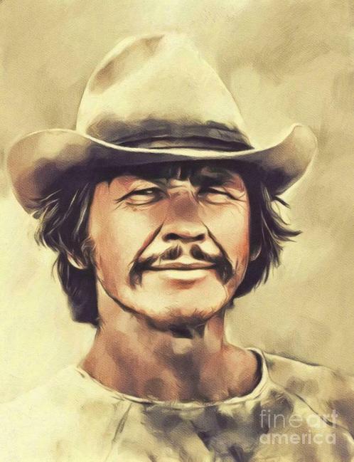 )))  Charles Bronson  //  à partir de 4 €  (((, CD & DVD, DVD | Aventure, Comme neuf, À partir de 12 ans, Enlèvement ou Envoi