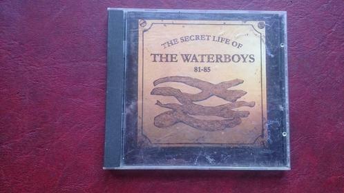 The waterboys 81-85 - the secret life of, CD & DVD, CD | Pop, Enlèvement ou Envoi