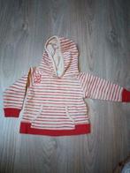 Trui Bout'chou, Enlèvement ou Envoi, Pull ou Veste, Utilisé, Bout'chou