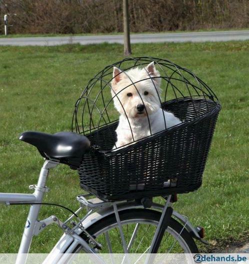 Panier à vélo avec grille noire pour porte-bagages, Animaux & Accessoires, Accessoires pour chiens, Neuf, Enlèvement