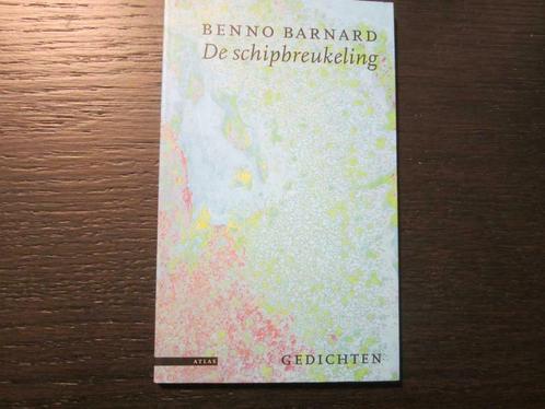 De schipbreukeling -Gedichten- Benno Barnard, Livres, Poèmes & Poésie, Comme neuf, Enlèvement ou Envoi