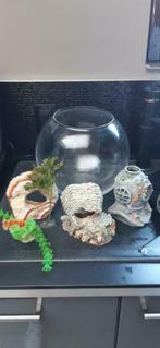 Compleet aquarium met deco, Ophalen, Zo goed als nieuw