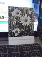 kaartje Houtland, Ophalen of Verzenden, Zo goed als nieuw, Prent