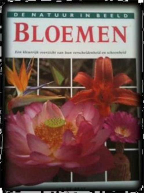 Bloemen, Lys De Bray, Boeken, Natuur, Gelezen, Bloemen, Planten en Bomen, Ophalen of Verzenden