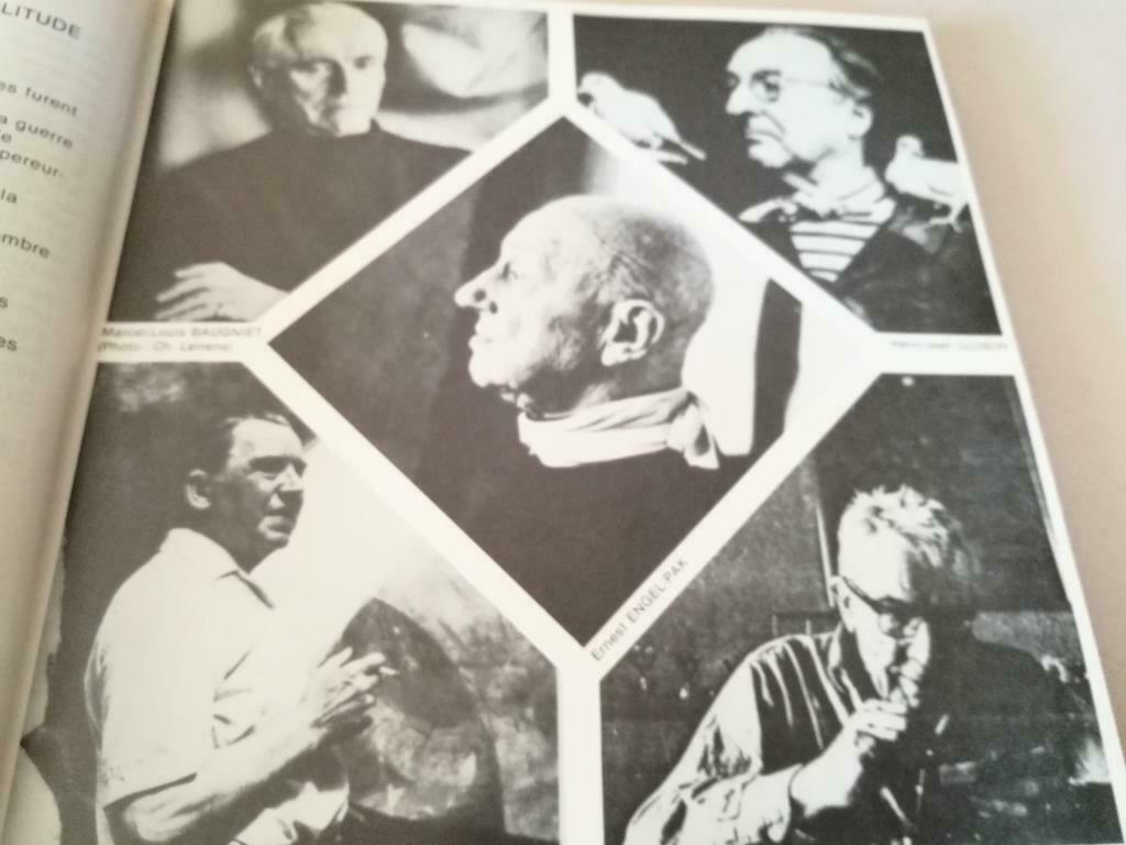 Artistes Abstraits Wallons, 215pag, 200ill, Enlèvement ou Envoi, Comme neuf, Peinture et dessin