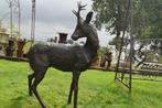 Statue d'un chevreuil en bronze (chasse), Jardin & Terrasse, Animal, Autres matériaux, Enlèvement, Utilisé