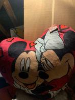 Kussen Mickey en Minnie mouse, Ophalen