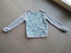 grijze sweater met blauwe bloemen van terre bleue maat 140, Kinderen en Baby's, Kinderkleding | Maat 140, Meisje, Trui of Vest