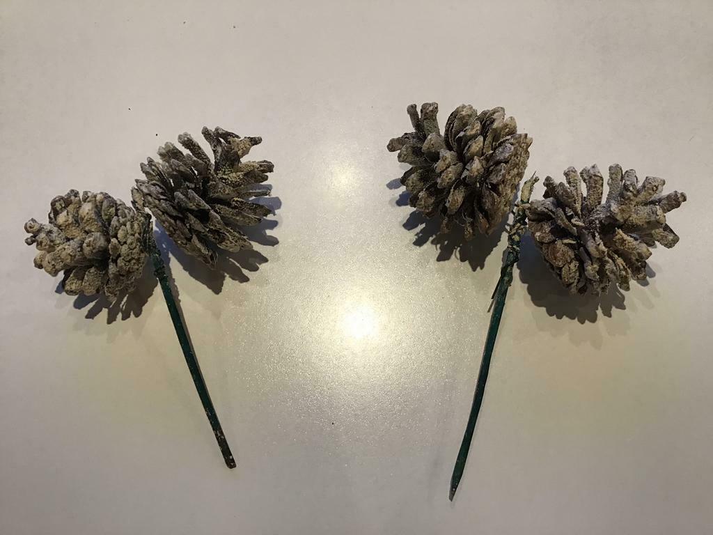 2 dennenappels, Ophalen of Verzenden, Gebruikt