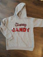 Sweat Zara 13/14 ans, Kinderen en Baby's, Kinderkleding | Overige, Ophalen of Verzenden, Gebruikt, Zara