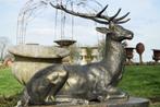 Groot hert liggend in brons gepatineerd gietijzer (jacht)., Tuin en Terras, Tuinbeelden, Ophalen, Nieuw, Overige materialen, Dierenbeeld