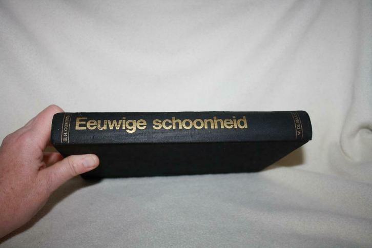 Eeuwige schoonheid – Dr.E.H. Gombrich 1967 vijfde druk, Boeken, Kunst en Cultuur | Beeldend, Zo goed als nieuw, Schilder- en Tekenkunst