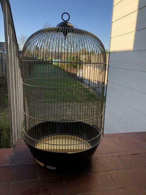 Déco-Grande cage pour canari dorée mais fond abîmé - déco, Animaux & Accessoires, Oiseaux | Cages & Volières, Comme neuf