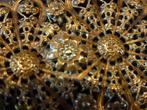 Antiek Bord / Broche 1850, Antiek en Kunst, Antiek | Kleding en Textiel, Verzenden