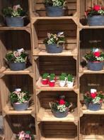 Originele Vintage Fruitkistjes GRATIS verzending €15, Minder dan 50 cm, Gebruikt, 50 tot 100 cm, Verzenden